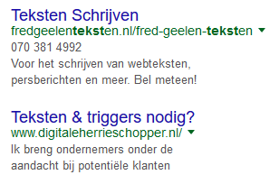 tekstschrijver amsterdam in google